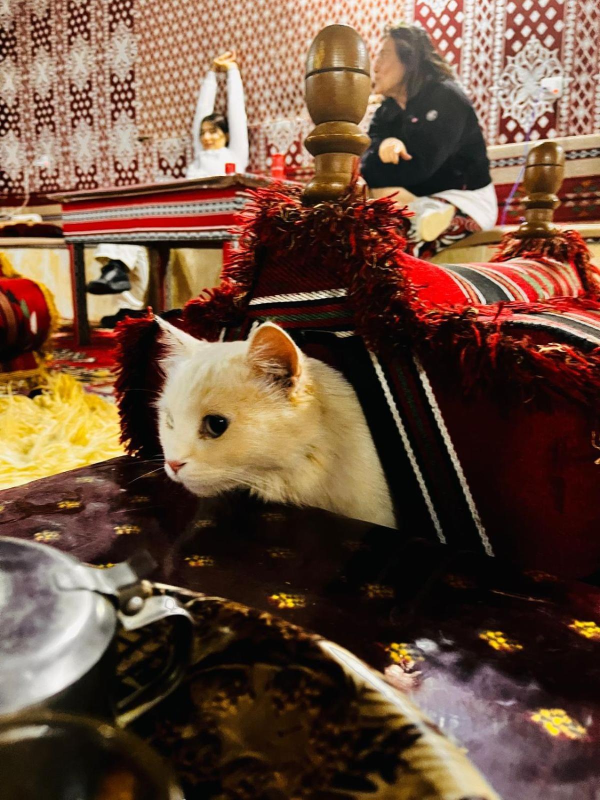 Waseem Luxury Camp Rum vádi Kültér fotó